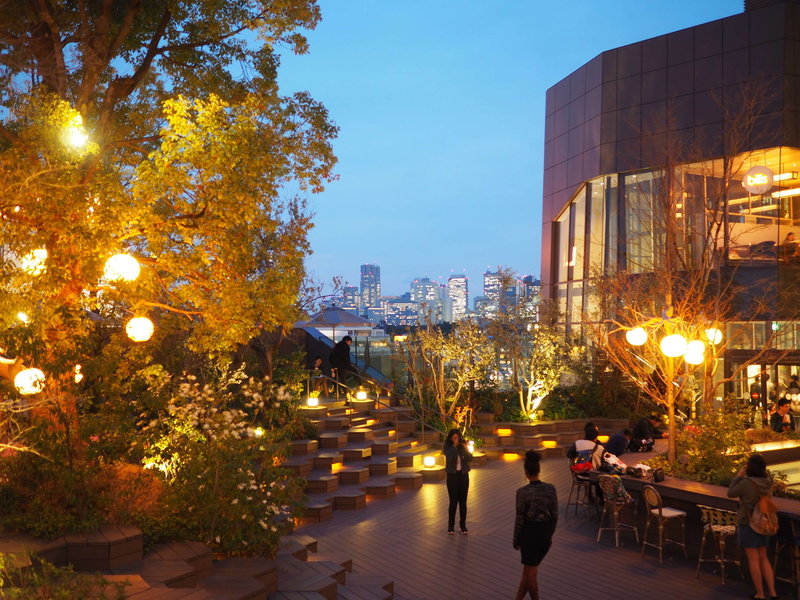 dusk, city life, street light, tokyo, plant, tree, tokyo skyline, starbucks, sky, harajuku, nature, city, outdoors, illuminated, building, light, architecture