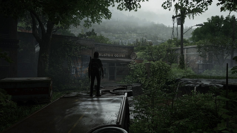 Ellie, PlayStation 4, Part II, #TheLastOfUs2, TLOU2, 1080P