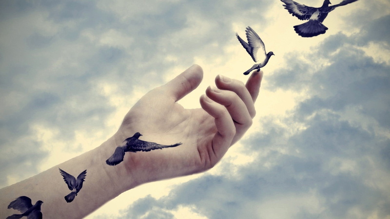 sky, 1080P, flying, clouds, artwork, fingers, hands, photo manipulation, birds