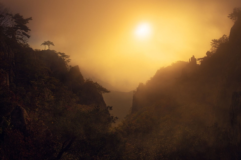 nature, fog, photography, sunset, s, tranquil scene, South Korea, mountains, forest, foot, tree, mountain, outdoors, sunlight, plant, scenics - nature