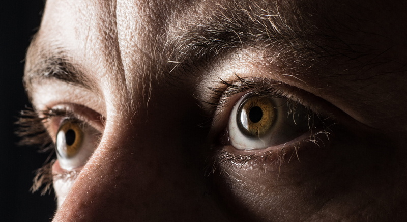 studio shot, 5K, extreme close-up, human, teardrop, african grey parrot, brown, parrot, eye, sensory perception, eyesight, human body part, freckle, one person