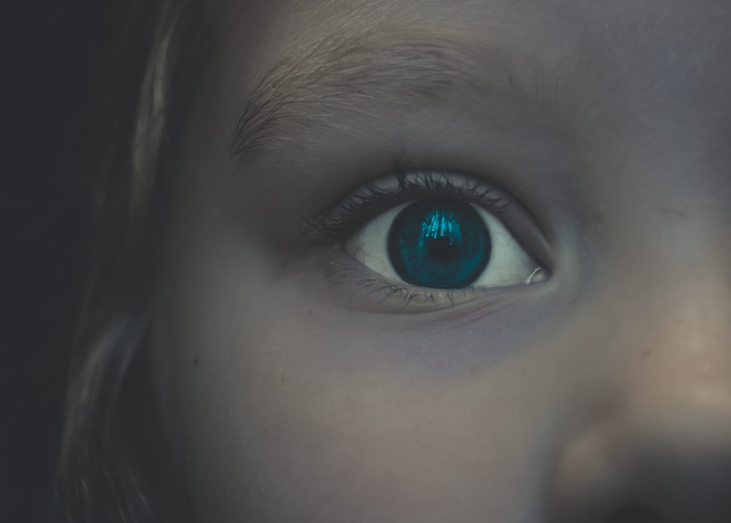 looking at camera, eyeball, animal, bird feeder, bird, human, mouth, eye, crayon, head, human face, dimples, human body part, eyebrow, face, iris - eye