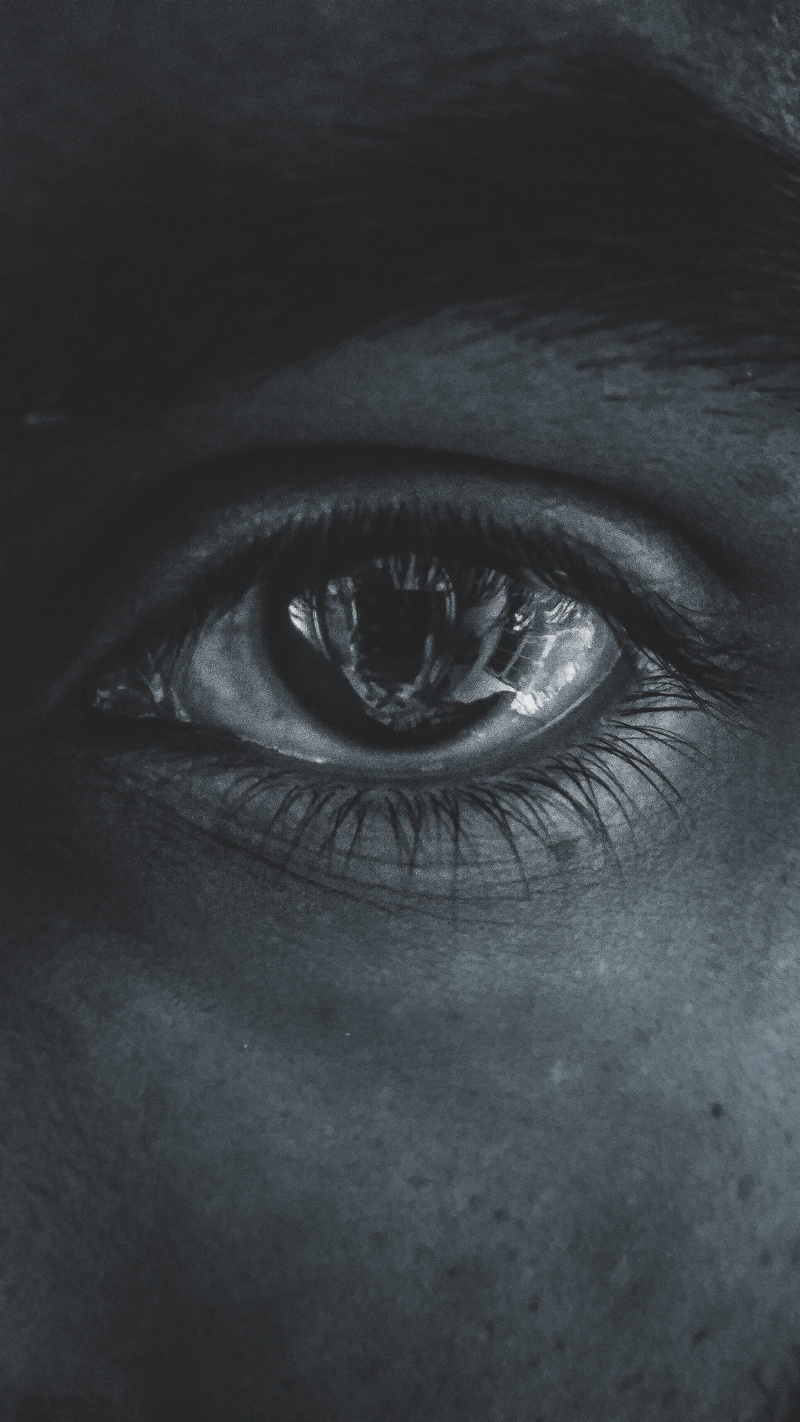 eyebrow, eye, eyelid, one person, crow, skin, unrecognizable person, human face, eyeball, close-up, wildlife, human eye, parrot, bird, sensory perception