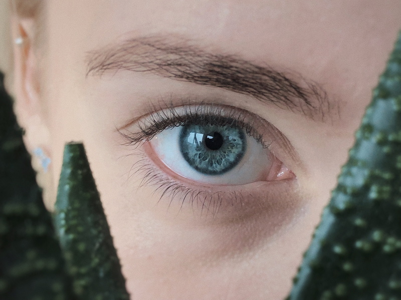 real people, invertebrate, zipper, pencil, iris - eye, human body part, crayon, eye, skin, one person, mascara, abies, eyeball, eyebrow, plant, eyelid