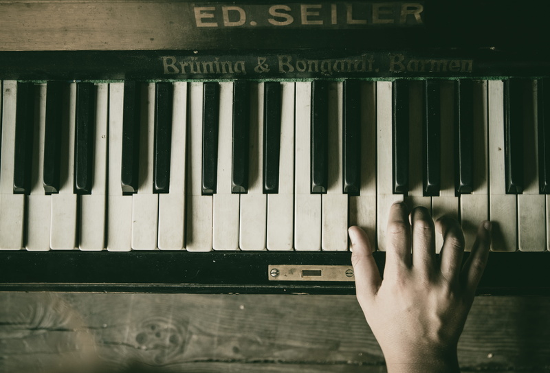 zipper, hand on piano, human, computer hardware, leisure activity, grand piano, human body part, computer keyboard, musical instrument, animal, musical equipment