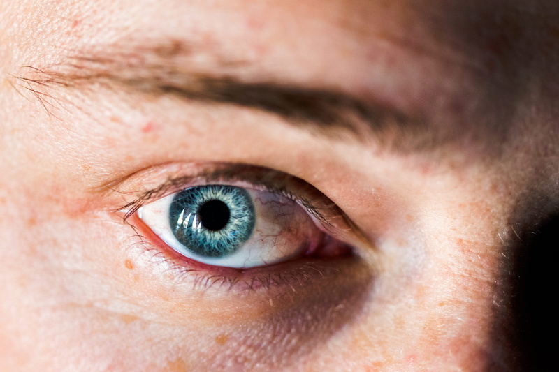 animal, adult, men, eyesight, portrait, eye, eyelash, tick, focus, african grey parrot, sensory perception, parrot, human, clam, skin, human eye, 5K, seashell
