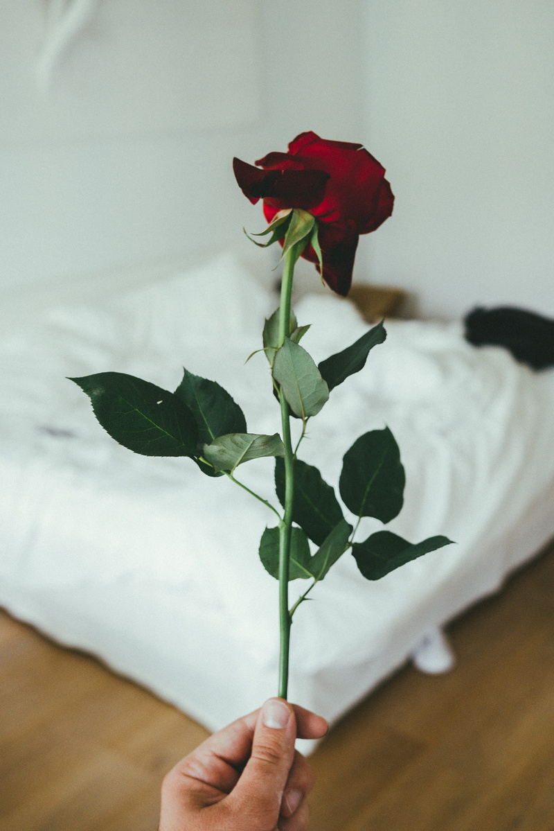 close-up, flower head, display, freshness, screen, real people, person, plant part, acanthaceae, one person, grey, vulnerability, beauty in nature, fragility