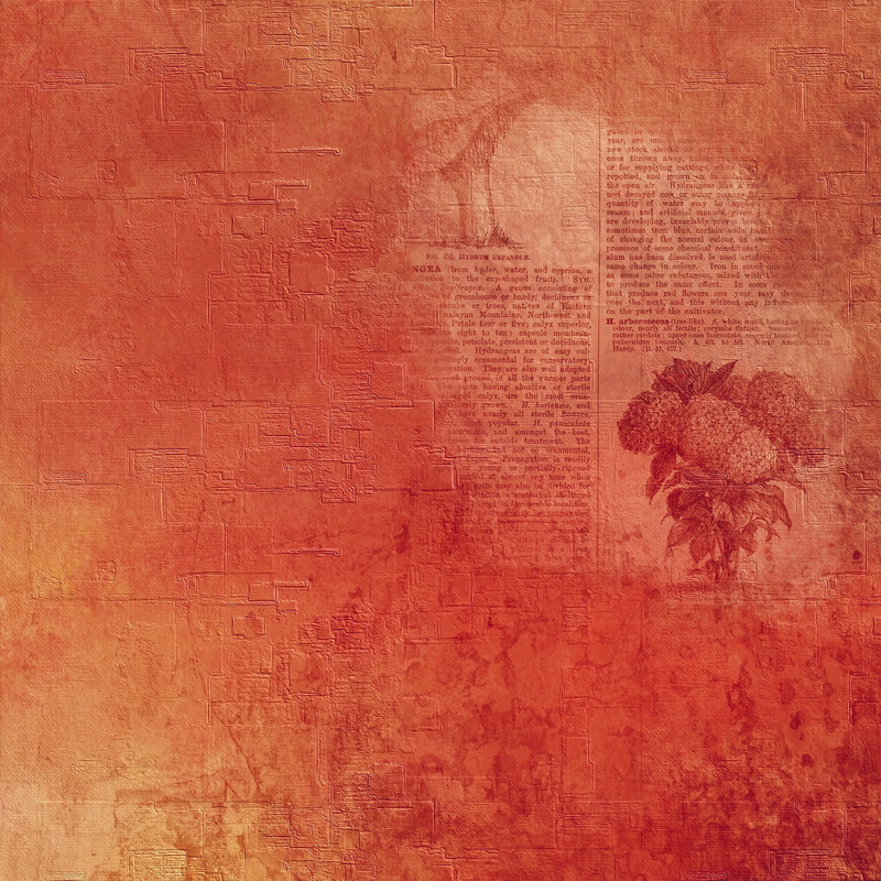 colorful, red, brown, wall - building feature, close-up, pattern, newspaper, copy space, painted, creativity, texture, paint, backgrounds, built structure