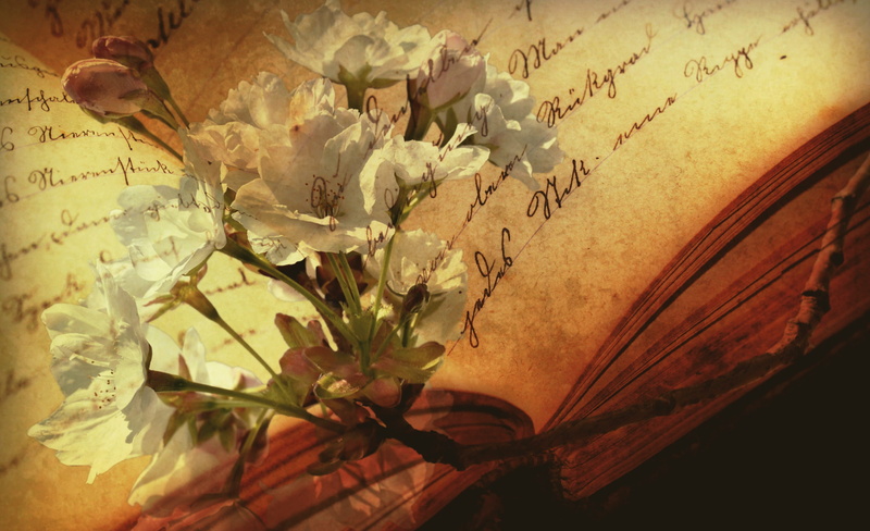 still life, top, antiquarian, close-up, read, nature, flower arrangement, historically, opened, pitched, leaf, vulnerability, plant, words, book pages