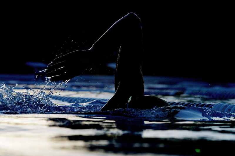 one animal, spray, silhouette, one Person, right, males, 4K, outdoors, skill, action, healthy Lifestyle, arm, splashing, real people, blue, s, nature