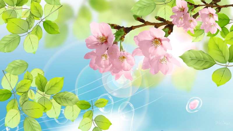 1080P, notes, music graph, spring, sakura, leaves, cherry bloxxoms, bubbles, music, petals, 3d and abstract