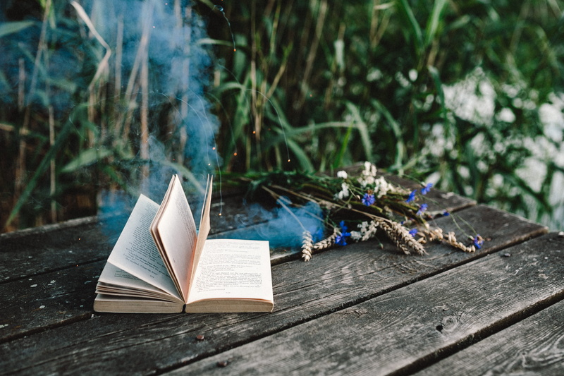 paper, selective focus, tree, library, no people, open, bible, day, mail, outdoor, love, wooden pier, old-fashioned, reading, fun, vintage, wooden desk
