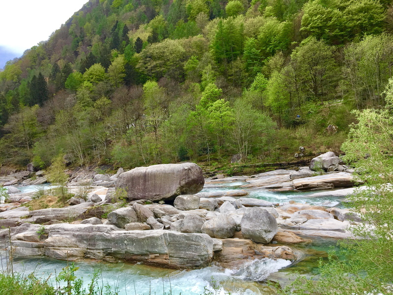 plant, flowing, italy, day, stream - flowing water, landscape, stones, growth, switzerland, construction, river, alpine, water, europe, tranquility, solid