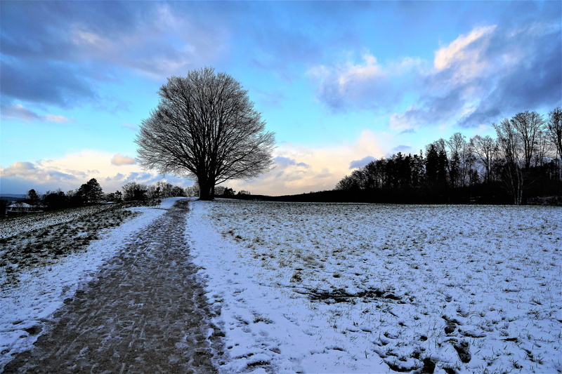 evening, cold temperature, outdoors, away, cold, road, the way forward, cloud, plant, bare tree, reflection, agriculture, travel, cloud - sky, holidays