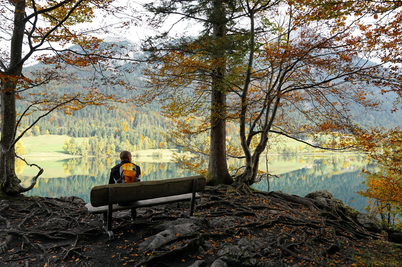 wilderness, tranquility, day, climb, hintersteinersee lake, 5K, hike, land, idyll, austria, green, panorama, idyllic, weather, plant, forest, september