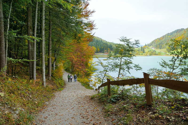 5K, luck, idyllic, panorama, autumn, tranquility, idyll, sea, background image, stanglwirt, hike, millstatt, weather, coast, direction, land, green, hill