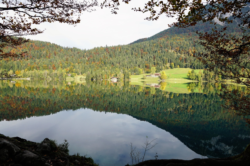 wilderkaiser, behind steiner, swim, clouds, austria, outdoors, day, pine woodland, bergsee, 5K, pine tree, scenics - nature, hintersteinersee lake, coniferous tree