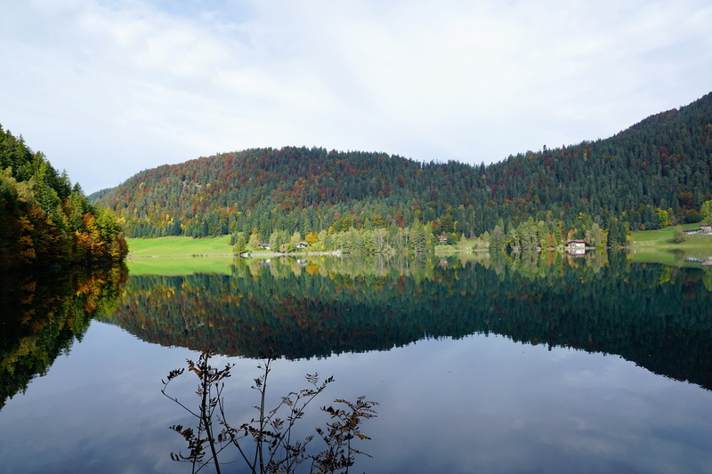 lake, depression, tree, mood, kitzbühel, sadness, elmau, climb, mountain lake, 5K, panorama, reflection lake, sea, growth, stones, scheffau, no people