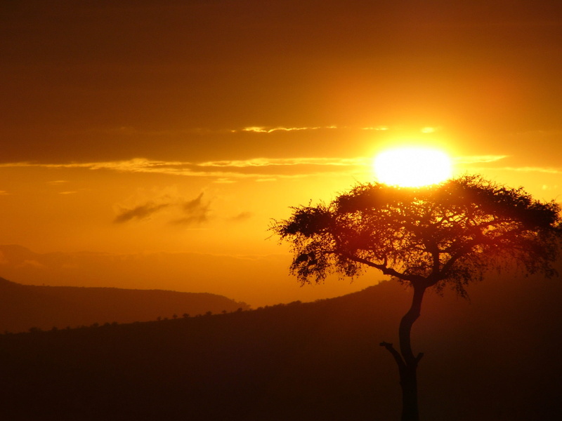 love, tranquility, scenics, Sun, Tree, Sunrise, cloud - sky, 1080P, silhouette, non-urban scene, from doubt, sun tree, outdoors, tranquil scene, landscape