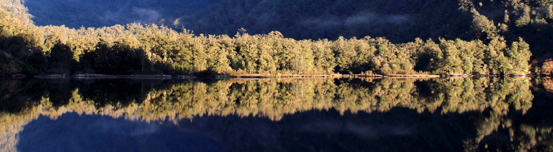 standing water, waterfront, nature, of course, symmetry, beauty in nature, water, still water, lake, scenics - nature, tranquility, panorama, coniferous tree