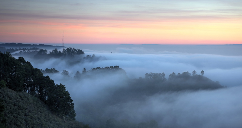 photography, RAW, 4K, mountain, Grizzly Peak, day, sunrise - Dawn, nature, aerial photography, NEX-6, HDR, hill, fog, trees, outdoors, landscape, scenics