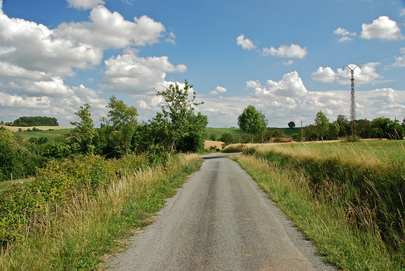 summer, grass field, green grass, near, des, gray, champs, day, campaign, rural Scene, tree, landscape, Road, field, sky, blue, street, au, grass, 4K