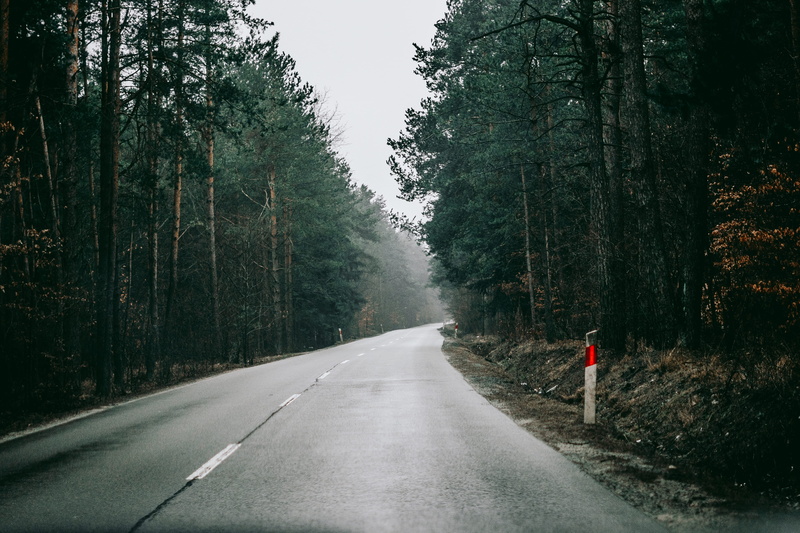 road marking, gravel, land, one person, transportation, direction, green, haze, nature, tree, diminishing perspective, 4K, concrete, trees, real people