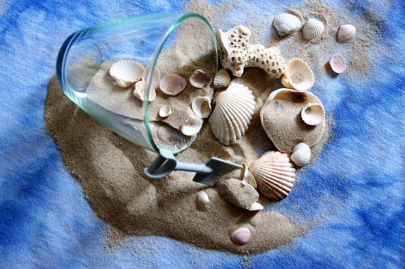 yeah, ferie, animal themes, abstraction, dream, sandy beach, animal, large group of objects, animal wildlife, high angle view, side view, 4K, closeup