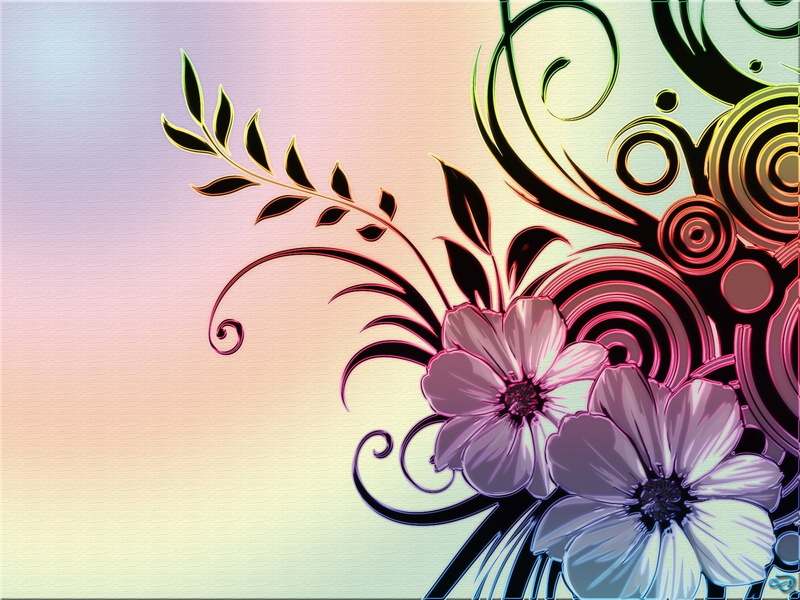white, red, flower Head, 720P, beauty In Nature, beautiful, floral, backgrounds, purple, wall - building feature, flower, light, art and craft, vase, computer Graphic