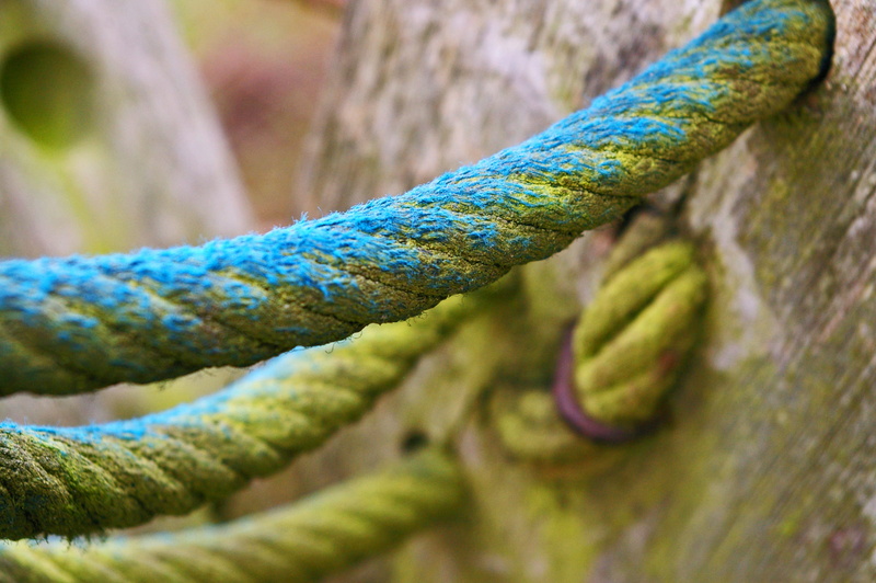 connection, wood pile, twisted, twisted ropes, knot, plant, ship traffic jams, moss, selective focus, outdoors, construction element, cord, weathered, pattern