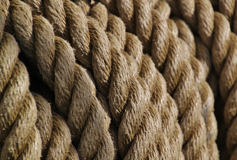 send, strength, accessories, no people, day, fixing, close, braided, knot, close up, dew, focus on foreground, outdoors, close-up, leash, textile, full frame