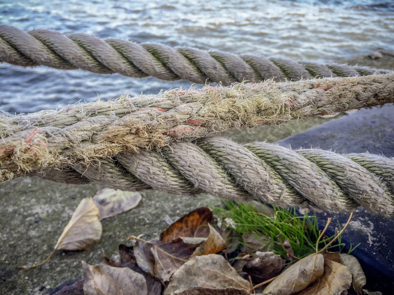 land, knitting, growth, close, nature, hanging, water, nautical Vessel, red knot, plant, transportation, no people, high angle view, connection, ship, tied up