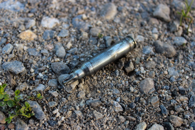 machine gun, dangerous, weapons, 5K, one animal, animals in the wild, close-up, outdoors, soldier, animal wildlife, 5, land, used, field, stones, invertebrate