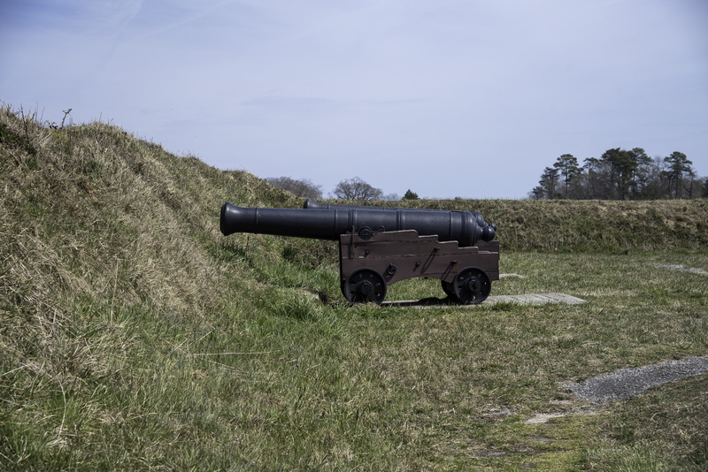 infantry, artillery, environment, conflict, day, Cannon, plant, siege, security, nature, non-urban scene, rifle, landscape, photos, camouflage, 5K, grass