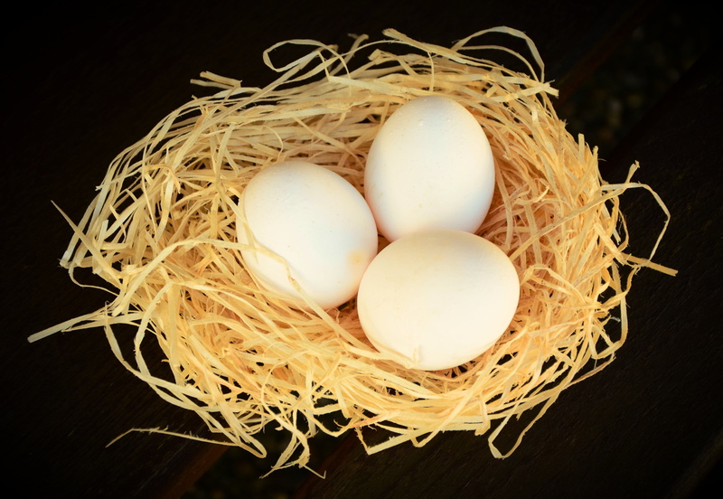 nutrition, group of objects, still life, easter, wellbeing, healthy eating, black, background, vulnerability, no people, chicken eggs, animal Egg, white eggs