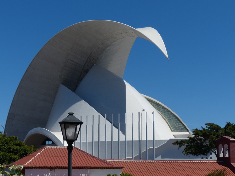 tree, travel destinations, auditorium, hall, roof, sunlight, built structure, avant-garde, concert hall, day, design, city, santa cruz de tenerife, white