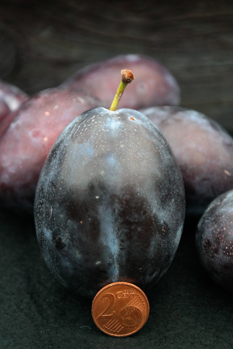 coin, 5K, blue, wellbeing, purple by, blue black, money, prunus domestica subsp domestica, food and drink, cent, large, Comparison, healthy eating, wood - material