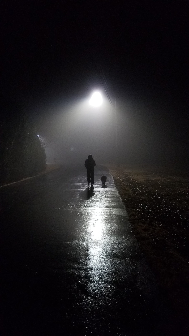 nature, lifestyles, the way forward, walking, horror, black, men, solitude, mist, mystery, transportation, road, sullen, silhouette, black Color, Mist