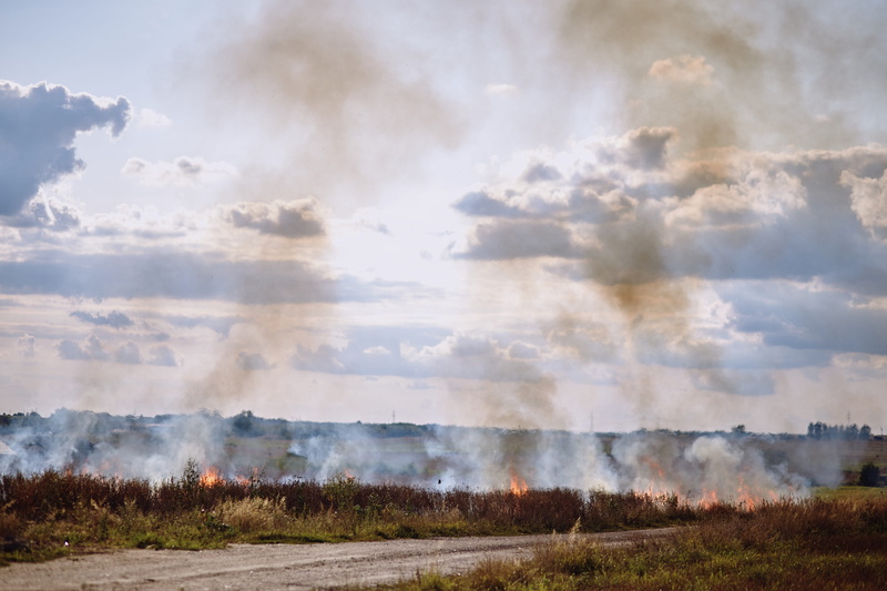 the destruction of the, field, anxiety, land, fire, tranquil scene, tranquility, fire department, smoke - physical structure, firefighter, scenics - nature
