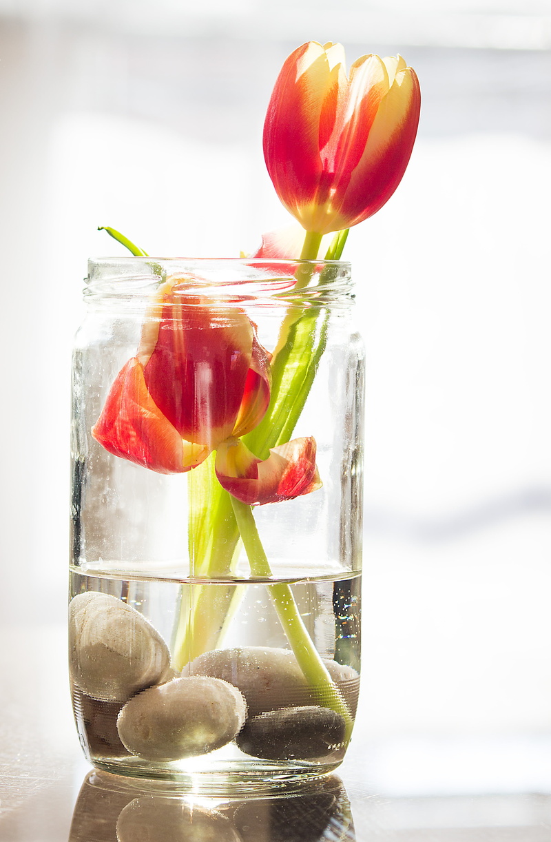 glass - material, fruit, natural, food and drink, 4K, refreshment, no people, freshness, water, jar, meadow, food, flower, focus on foreground