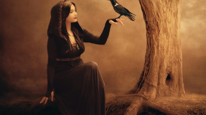 cuervo, bosque, bruja, fantasia, 2K