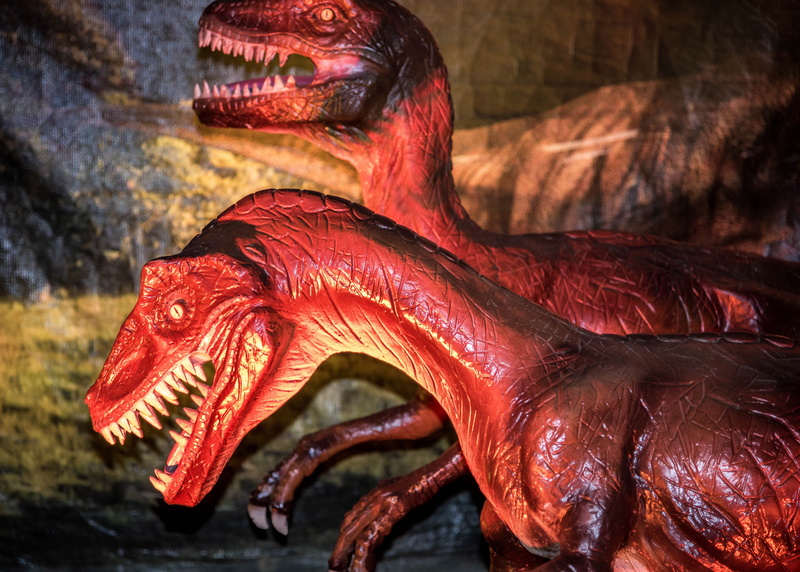 animal themes, water, sculpture, art and craft, photo, close-up, side view, prehistoric, animal representation, dinosaur, representation, outdoors, focus on foreground
