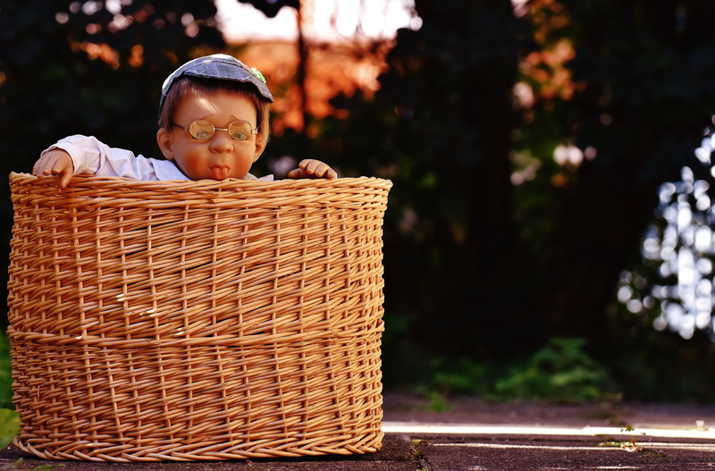 container, gray hair, picnic basket, one senior man only, one person, focus on foreground, tree, children, stick out tongue, childhood, lifestyles, boy