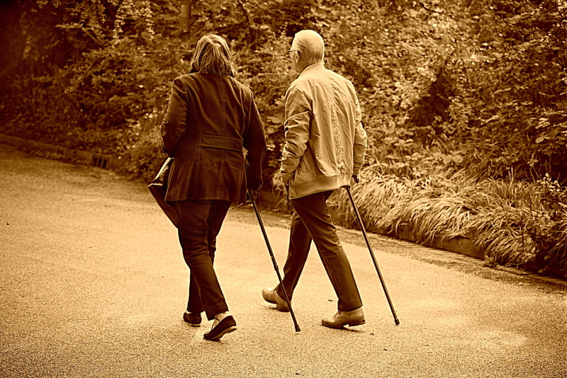 4K, park, sunlight, men, bonding, editorial, day, full length, casual clothing, positive emotion, leisure activity, couple, walking, plant, side by side
