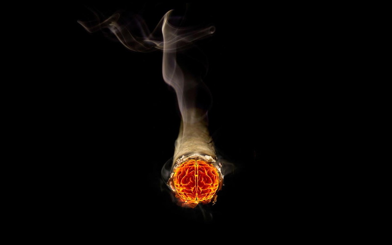close-up, 720P, black Background, fire - Natural Phenomenon, creativity, glowing, Smoke, marine, orange color, one animal, long exposure, no people, burnt