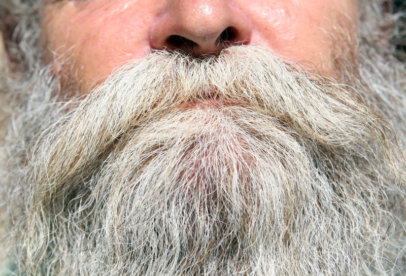 body part, people, macro, Black, face, male, black, warm, up, rough, hair, winter, summer, gray Hair, person, real people, young, facial, closeup, mature men