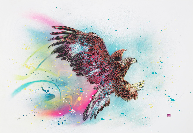close-up, Artwork, gray, Mural, animal themes, motion, indoors, paint, 5K, art and craft, 5K, creativity, animal, white background, water, exploding, Colorful