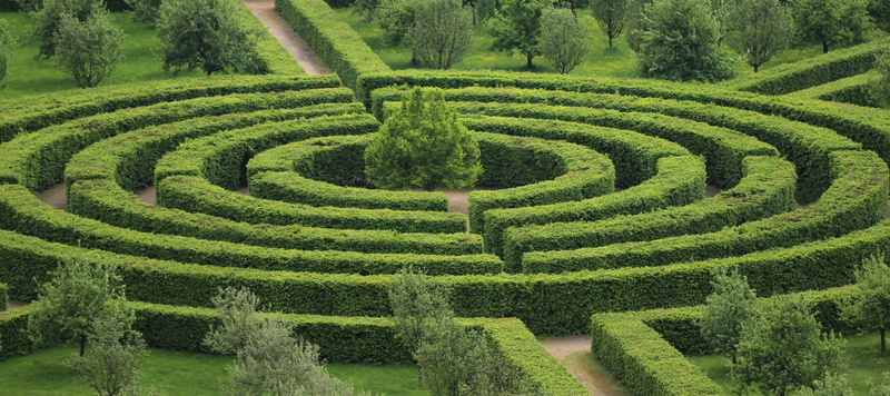 tranquility, scenics - nature, field, plant, 4K, tree, concentric, maze, geometric shape, nature, hedge, beauty in nature, growth, green, land, day, shape