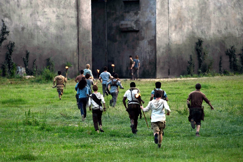 nature, men, plant, group, teresa, guys, group Of People, maze, architecture, grass, adult, movie, running, government, land, 2K, cultures, runner, outdoors