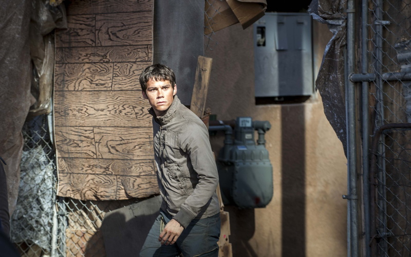 runner, trials, maze, scorch trials, maze runner, action, 4K, scorch, thomas